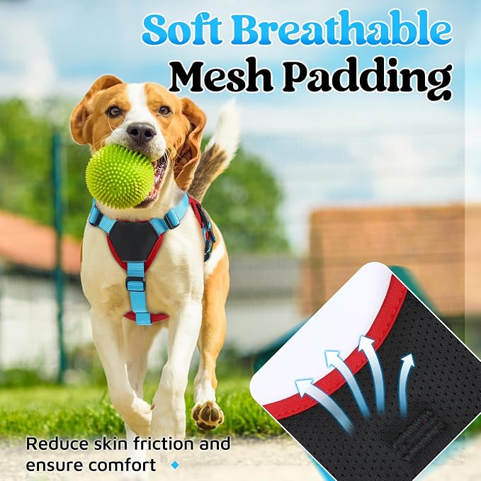 rabbitgoo Escape Proof Dog Harness for Small, No Pull with Lift Handle | No Escape, Full Soft Padded, Reflective Adjustable Vest, Leash Clip for Walking Hiking Training, Sky Blue & Red, Small