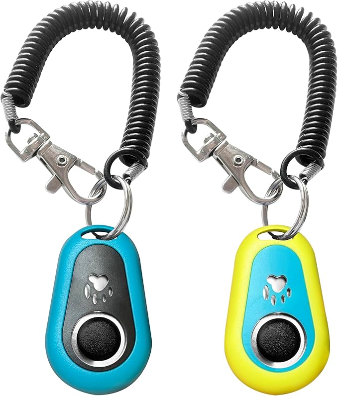 Pet Training Clicker with Strap, Blue & Green