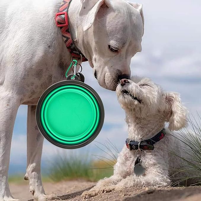 Collapsible Dog Bowls, Pack of 5