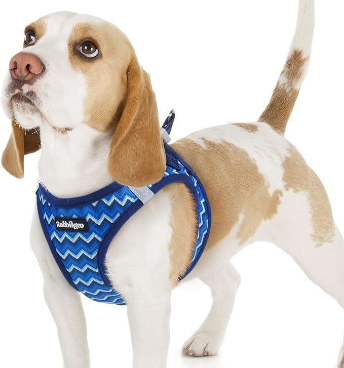 rabbitgoo Step-in Small Dog Harness, Puppy Vest for Small Sized Pet | Easy Put on and off, Lightweight, Soft, Breathable Quick-Dry Air Mesh for Comfortable Secure Walking, Blue Zigzag M