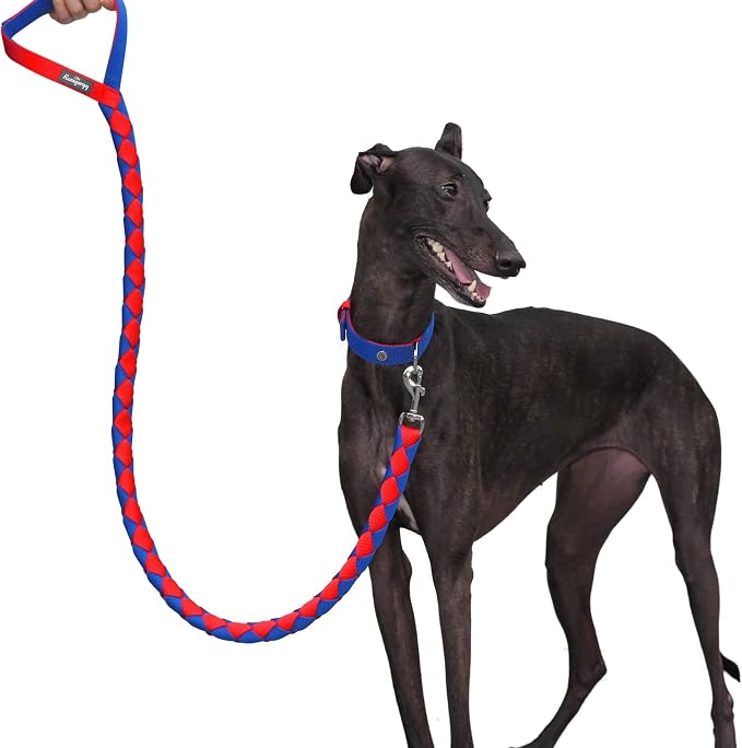 Blueberry Pet Iconic Double-Weave Handmade Dog Rope Leash, Navy Blue and Red, 4 ft, Strong Leashes for Dogs