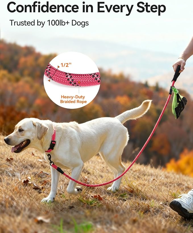 Joytale Rope Dog Leash for Medium Large Dogs, Padded Handle, 5FT, Pink | Reinforced Nylon Webbing, Comfort Grip Eases Hand Strain, Swivel Clip Prevents Tangles, Visible at Night, for Outdoor Walks
