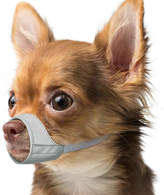 Fabric Dog Muzzle for Short Snout Small Dogs Chihuahuas Anti-Bite | Fits Shih Tzu Pomeranian Yorkshire Brachycephalic Dog, Grooming Vet Visits Walking Use, Prevent Chewing, Soft | Grey, S