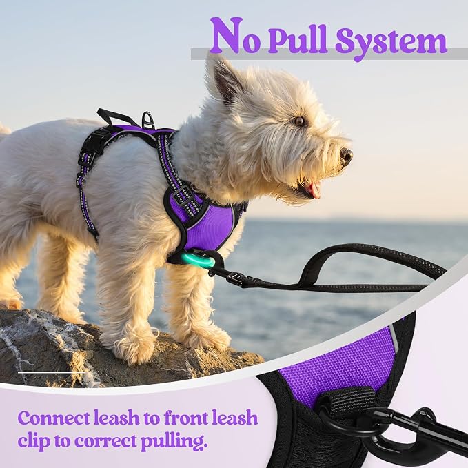 rabbitgoo Dog Harness No Pull with 2 Leash Clips, Adjustable Soft Padded, Reflective Oxford No Choke Pet Vest with Easy Control Handle for Puppy, Purple,XS | No Choke with Handle, Adjustable Soft Padded, Reflective, Easy Control for Walking, Purple, X-...