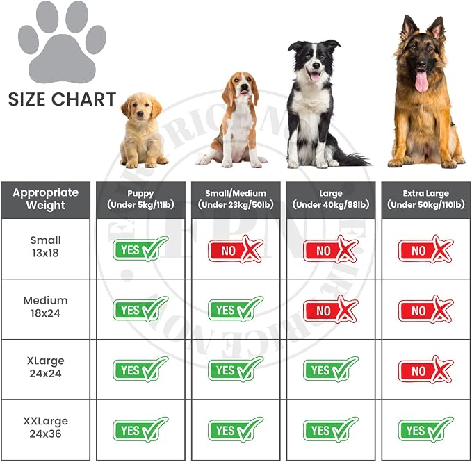 Kashmir FPN Charcoal Pee Pads for Dogs | Wee Wee Pads 200 Count | Puppy Pads | Extra Absorbent | Heavy Duty Dog Pads | 5 Layer Pads for Instant Absorption, 24x36 Inches (Extra Large), 200