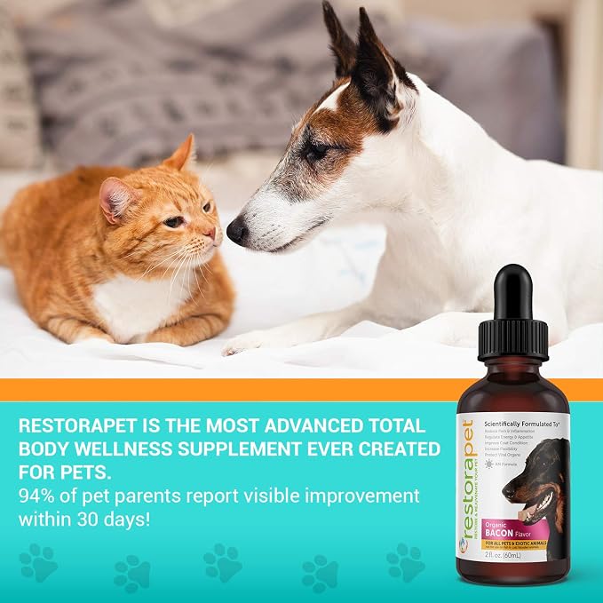 RestoraPet 2-Pack Dog & Cat Bacon Liquid Multivitamin | Dog Arthritis Pain Relief | Hip & Joint Vitamins for Dogs - Anti Inflammatory Supplement for Dogs & Cats | Plant-Based & Non-GMO, Vet Approved