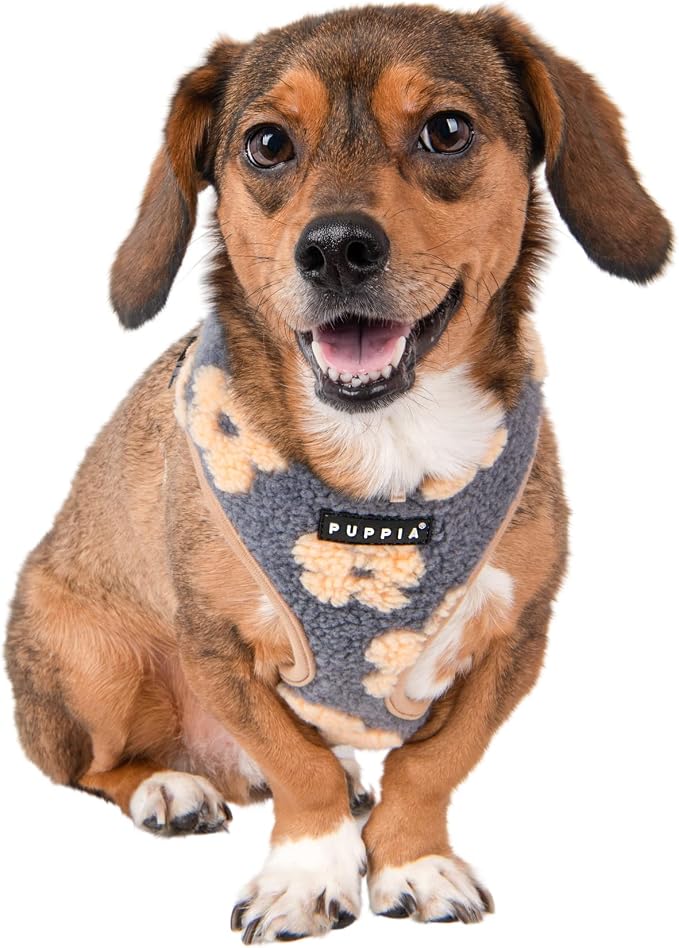 Puppia Ren Dog Harness Over-The-Head Warm Winter Flower Pattern Adjustable Chest for Small and Medium Dog, Beige, Large