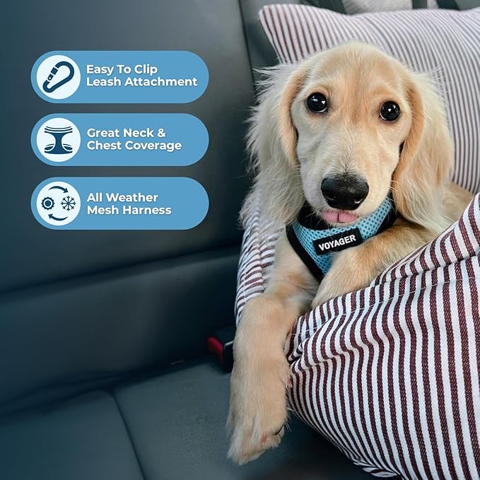 Voyager Step-in Air Dog Vest Harness - Baby Blue/Black Trim, Large | 18- 20.5" in Chest, Reflective Bands, All Weather Breathable Air Mesh, Cats Compatible, Lightweight, Fast Drying