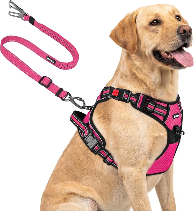 Joytale No Pull Dog Harness & Seat Belt, Easy On 3-Buckle, L, Hot Pink | Front Clip Reduces Pulling, Escape-Resistant Design, Adjustable Fit, Soft Padding for Comfort, Secure Tether for Safer Travel
