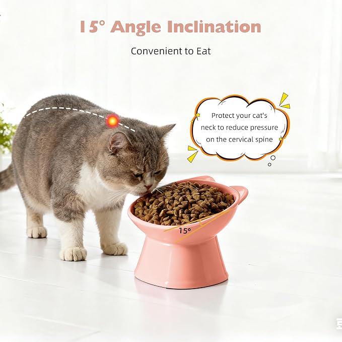 KSIA Klear Elevated Cat Bowls 2 Pack, Tilted Raised Cat Bowl for Food and Water, 4.72" Wide, Whisker Friendly Anti Vomit for Indoor Cats, Microwave and Dishwasher Safe, Pink
