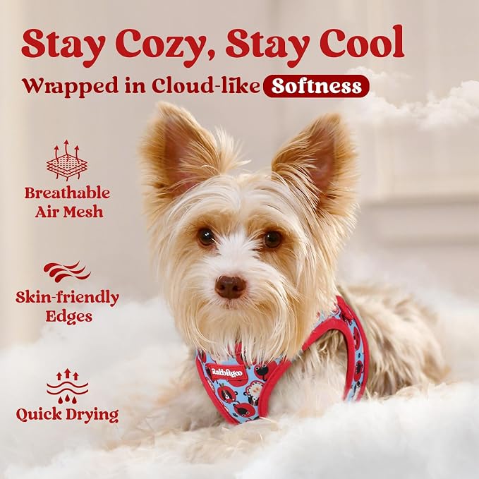 rabbitgoo Step-in Small Dog Harness, Puppy Vest for Small Sized Pet | Easy Put on and off, Lightweight, Soft, Breathable Quick-Dry Air Mesh for Comfortable Secure Walking, Apple Pups XS