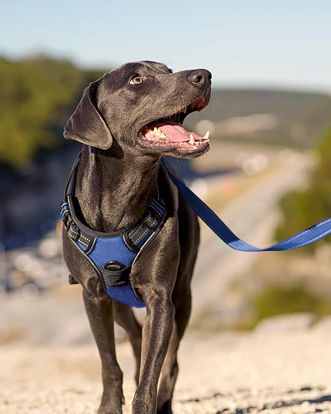 Joytale No Pull Dog Harness for Extra Large Dogs, Front Clip, Navy Blue | Grab Handle for Instant Control, Padded & Adjustable Vest, Sturdy Metal D-Rings, for Safe Training & Daily Walking