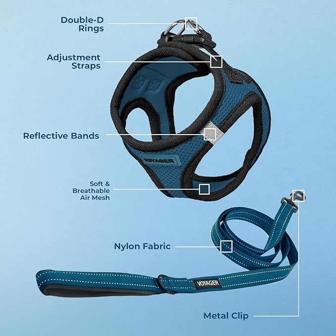 Best Pet Supplies Voyager Step-in Air All Weather Mesh Harness and Reflective Dog 5ft Leash Combo with Neoprene Handle, for Small, Medium and Large Breed Puppies - Blue/Black Trim, XX-Small