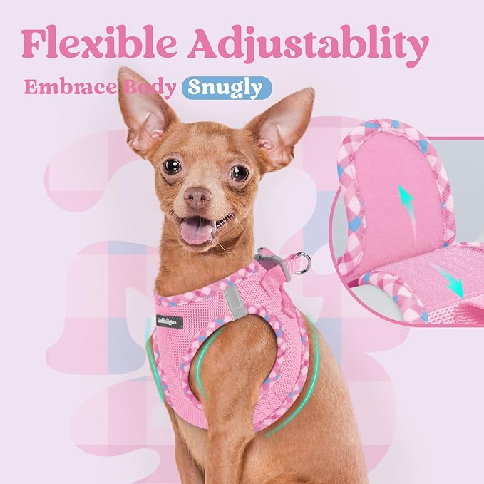 rabbitgoo Step-in Small Dog Harness, Puppy Vest for Small Sized Pet | Easy Put on and off, Lightweight, Soft, Breathable Quick-Dry Air Mesh for Comfortable Secure Walking, Pink & Plaid Trim S