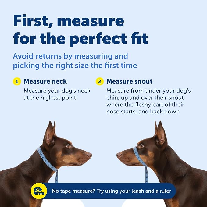 PetSafe Gentle Leader No Pull Dog Headcollar, Red, Small | Veterinary Behaviorist-Designed No-Pull Headcollar Redirects Pulling Instinct, Padded Neoprene Nose Loop, Quick-Snap Fit