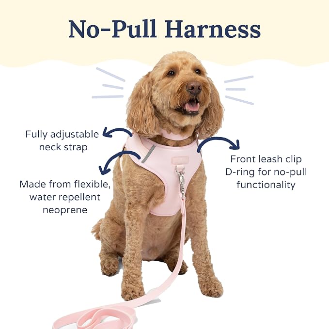 Lucy & Co. The Rosewater No-Pull Dog Harness - Size Small - Vest to Stop Pulling & Walk Easy - Comfortable Leash Training Product w/Adjustable Chest & Neck Straps