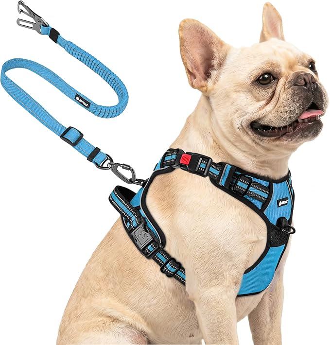 Joytale No Pull Dog Harness & Seat Belt, Easy On 3-Buckle, S, Sky Blue | Front Clip Reduces Pulling, Escape-Resistant Design, Adjustable Fit, Soft Padding for Comfort, Secure Tether for Safer Travel
