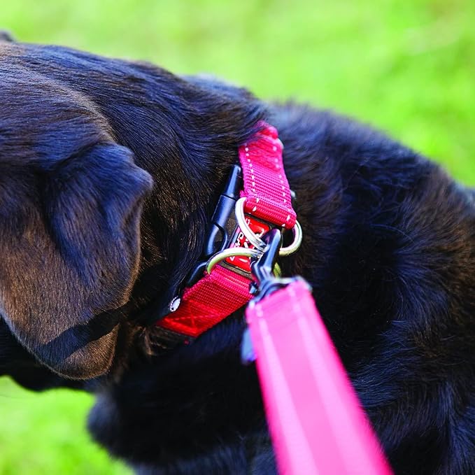 EzyDog Double Up Dog Collar, Strong Double D-Rings - Large, Red | Dual D-Rings for Superior Strength, Safety, and Comfort, Soft Touch Nylon Webbing, Reflective Stitching, Id Attachement Point
