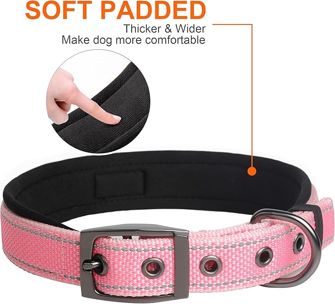 Fida Padded Dog Collar for Small Dogs with Metal Belt Buckle, Pink | Soft Neoprene Padded for Extra Comfort, Durable Nylon Webbing, Adjustable Fit, Reflective Stitching for Night Safety