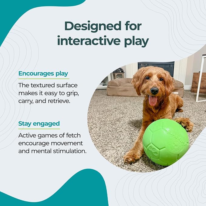 Jolly Pets Large Jolly Soccer Ball, Floating-Bouncing, 8in, Green Apple