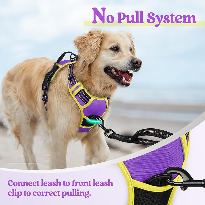 rabbitgoo Dog Harness, No Pull for Small Dogs with 2 Leash Clips, Pet Vest | No Choke with Handle, Adjustable Soft Padded, Reflective, Easy Control for Walking, Purple & Yellow, Small