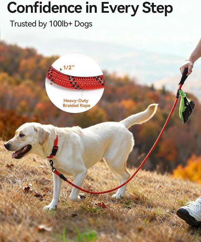 Joytale Rope Dog Leash for Medium Large Dogs, Padded Handle, 5FT, Red | Reinforced Nylon Webbing, Comfort Grip Eases Hand Strain, Swivel Clip Prevents Tangles, Visible at Night, for Outdoor Walks