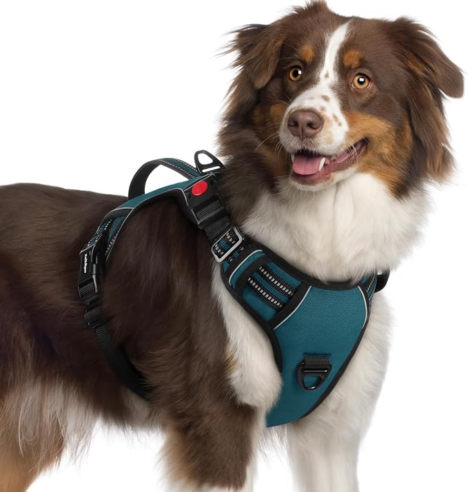 rabbitgoo Large Dog Harness, Easy Wear with 3 Buckles and Lift Handle | No Pull with Front Clip for Walking, Adjustable Soft Padded, Reflective, Easy Control, Green, X-Large