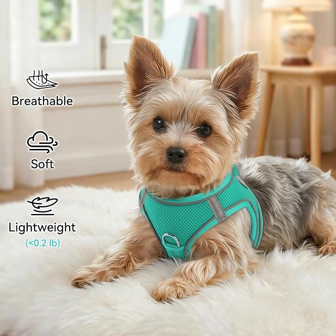 Joytale Step-in Dog Harness, Soft Breathable Mesh, Teal XXS | Adjustable Fit for Small Dogs, Easy Step-in with Secure Fastener, Even Chest Pressure, Reflective For Night Safety, Washable