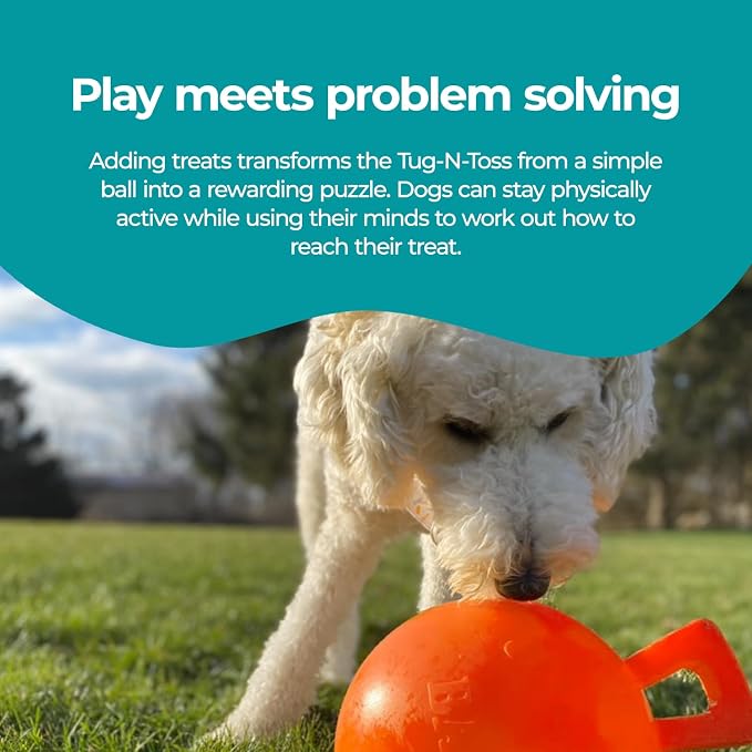 Jolly Pets Tug-n-Toss - Heavy Duty Chew Ball w/ Handle (Orange, 6")