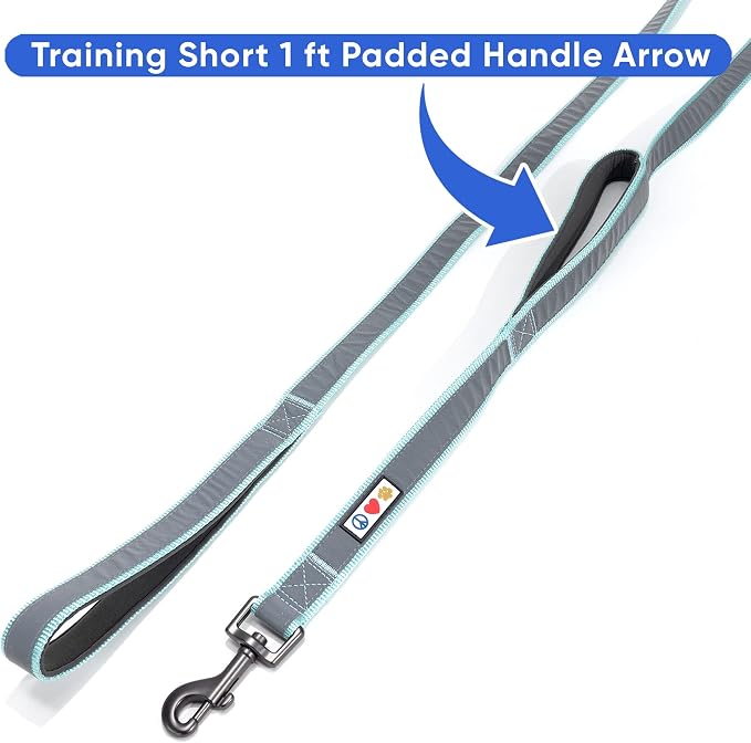 Pawtitas Double Handle Dog Leash Heavy Duty for Training No Pull Leashes Ideal for Medium and Large Dogs | Great for Walking, Running & Training Dog Leash - Medium/Large - Teal