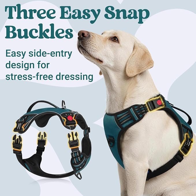 rabbitgoo Large Dog Harness, Easy Wear with 3 Buckles and Lift Handle | No Pull with Front Clip for Walking, Adjustable Soft Padded, Reflective, Easy Control, Green, Large