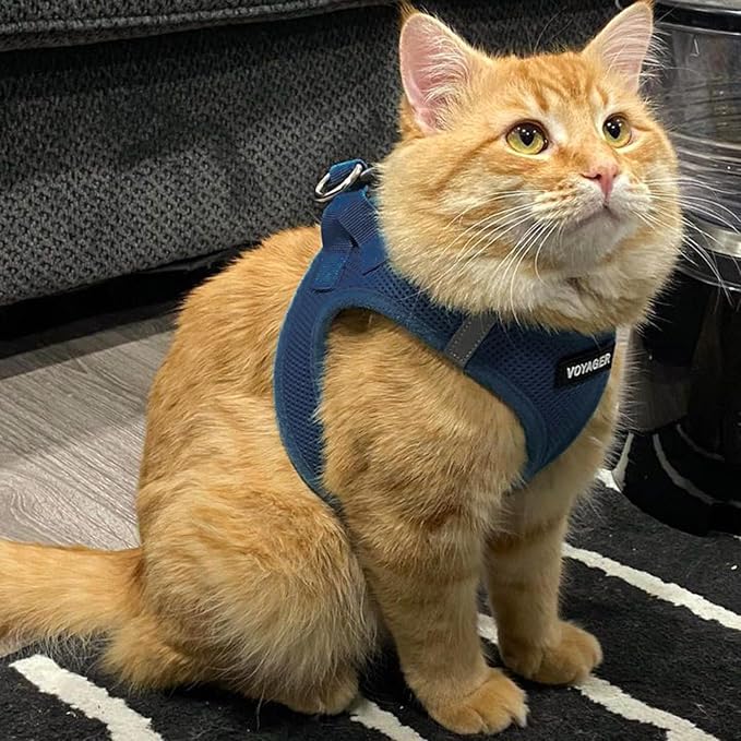 Voyager Step-in Air Dog Vest Harness - Blue, Small | 14.5-16" in Chest, Reflective Bands, All Weather Breathable Air Mesh, Cats Compatible, Lightweight, Fast Drying