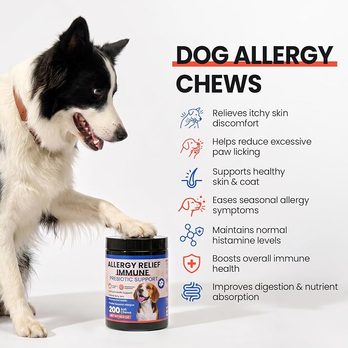 Dog Allergy Chews 200 Ct - Itch Relief for Dogs Immune Support with Colostrum Probiotics & Omega 3 - Seasonal Allergies Anti-Itch Skin & Coat Supplement, Itchy Skin & Paw Relief Bites - Chicken Flavor