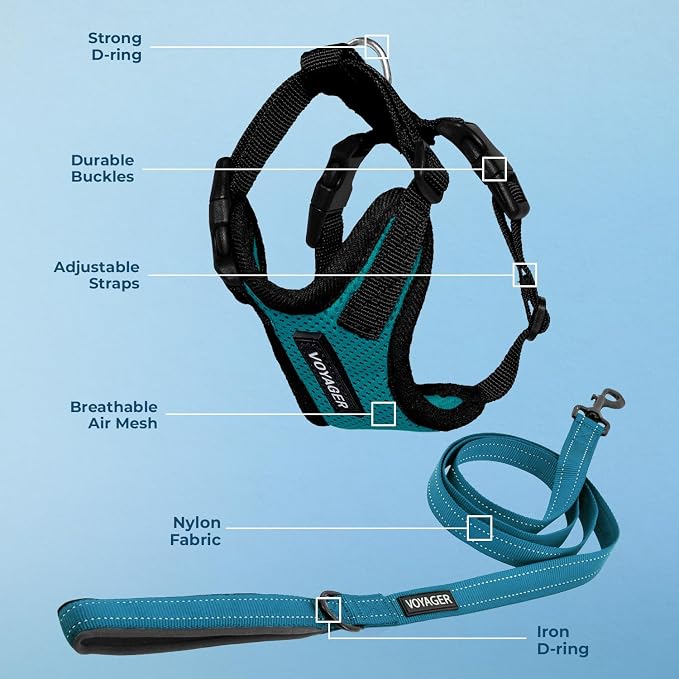 Best Pet Supplies Voyager Step-in Lock Pet Harness w Reflective Pet Leash Combo Set with Neoprene Handle 5ft - Supports Small, Medium and Large Breed Puppies/Cats - Turquoise/Black Trim Set, M