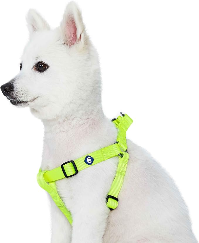 Blueberry Pet Essentials Step-in Dog Harness, Large Size | Adjustable Highlighter Yellow Vest | Classic Solid Nylon for Boy & Girl Dogs, Chest Girth 26"-39"