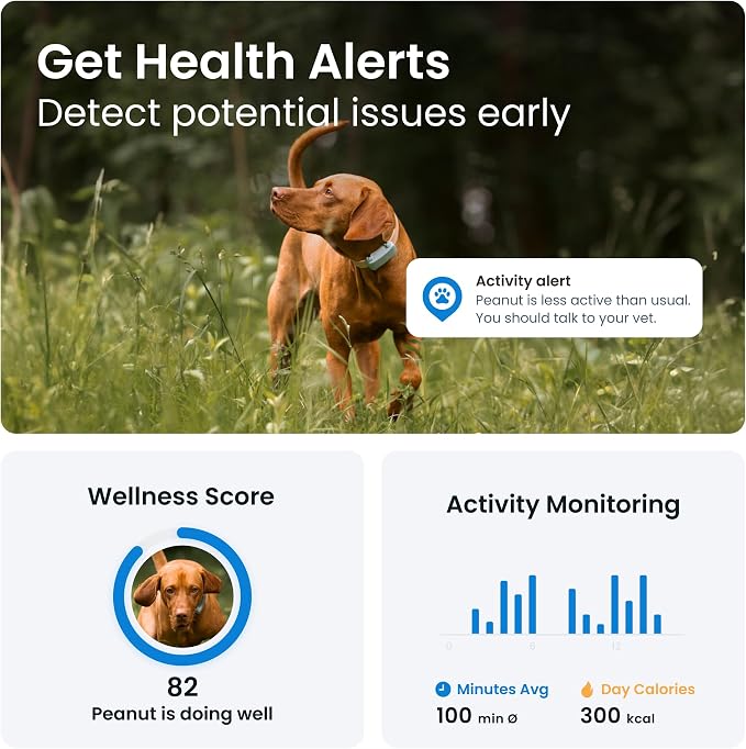 Tractive GPS Dog Tracker (2025 Release) Real-time Pet Location Tracker | Health & Wellness Alerts | Virtual Fence for Dogs | Bark Monitoring (Mint w/Pink Cover)