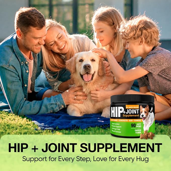 Hip and Joint Supplement for Dogs with Glucosamine, Chondroitin & MSM