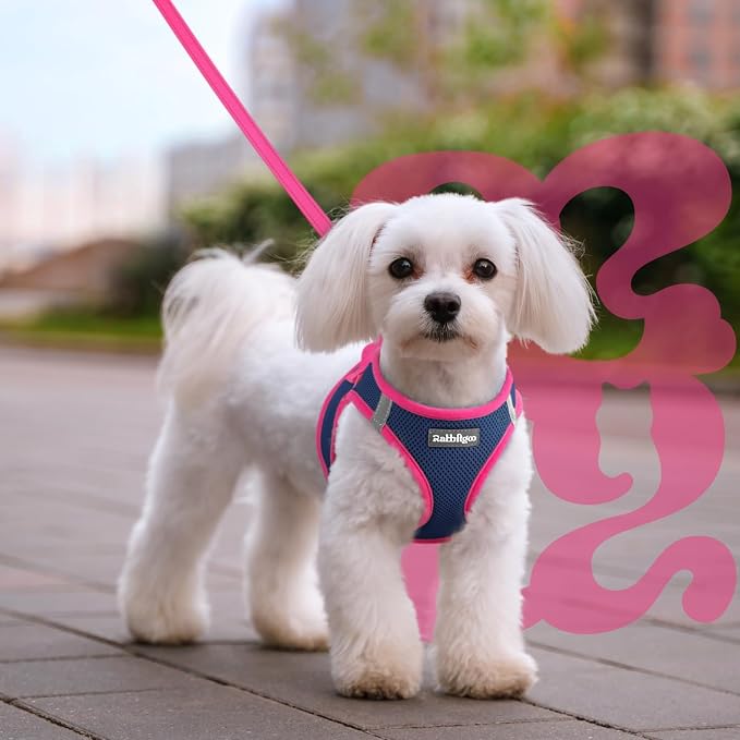 rabbitgoo Dog Harness Small Sized and Leash Set, Step in Soft Vest | Breathable Mesh, Easy Wear with Hook & Loop, Light and Reflective for Walking, Multi-colored, Navy Blue & Rose Red, XS
