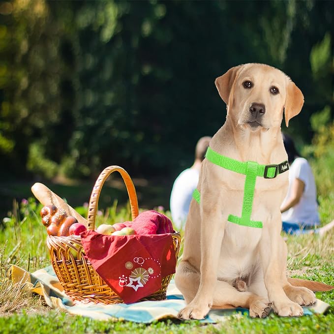 PUPTECK No Pull Dog Harness Soft Adjustable Basic Nylon Step in Puppy Vest Outdoor Walking with ID Tag, Green, M | Soft Webbing Basic Halter with ID Tag for Outdoor Walking