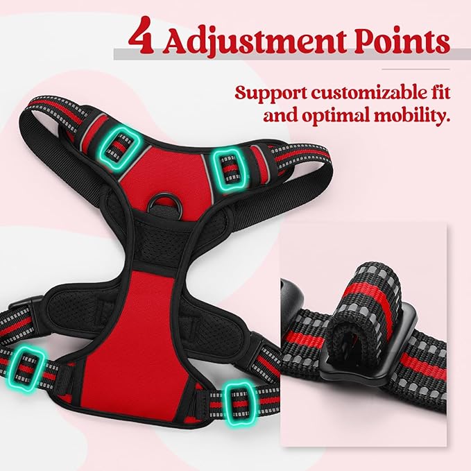rabbitgoo Dog Harness, No Pull for Large Dogs with 2 Leash Clips, Pet Vest | No Choke with Handle, Adjustable Soft Padded, Reflective, Easy Control for Walking, Red, X-Large
