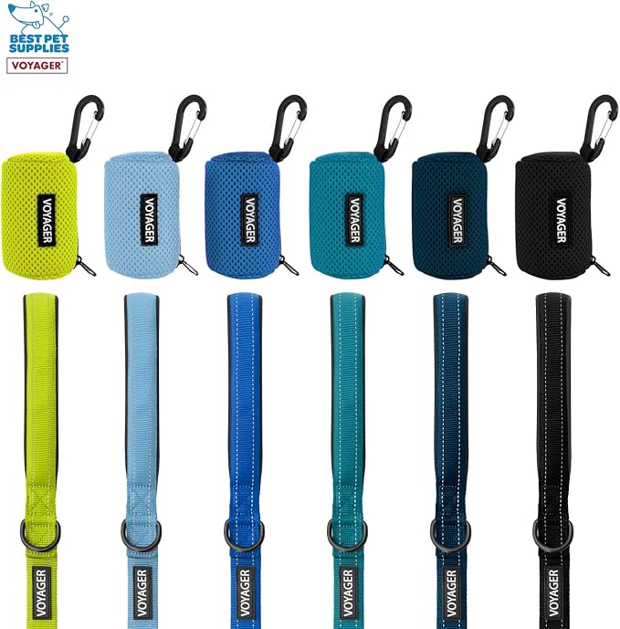 Best Pet Supplies 2-Pack Dog Poop Bag Holder Leash Attachment, Color, Reusable Mesh Dispenser Pouch for Travel, Walking, Park, and Outdoor Use, Soft and Durable with Clip-On - Mesh Lime Green