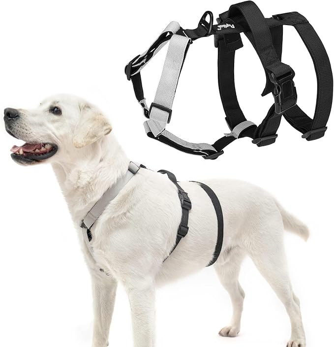 PUPTECK Escape Proof Dog Harness - No Pull Soft Padded Full Body Pet Halter Harness with Lift Handle for Small Medium Large Doggies Walking Hiking Hunting, SnowWhite & Black, L