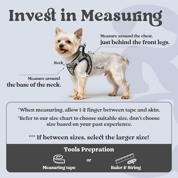 rabbitgoo Step-in Small Dog Harness, Puppy Vest for Small Sized Pet | Easy Put on and off, Lightweight, Soft, Breathable Quick-Dry Air Mesh for Comfortable Secure Walking, Black Zigzag M