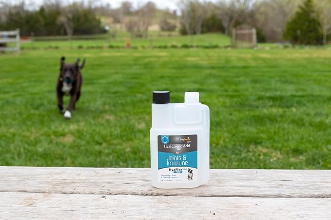 Hyalogic HyaFlex Pro Pure (8 fl oz) - Canine Hyaluronic Acid & Zinc Dog Supplement - Joint & Immune Dog Health Supplies - Liquid Canine Joint Supplement - Promotes Healthy Cartilage & Flexibility