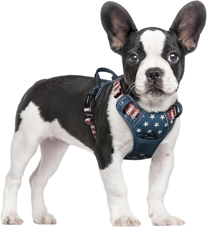 rabbitgoo Dog Harness, No Pull for Small Dogs with 2 Leash Clips, Pet Vest | No Choke with Handle, Adjustable Soft Padded, Reflective, Easy Control for Walking, Blue Star, Small