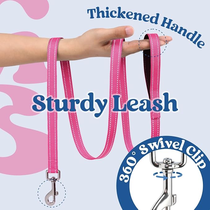 rabbitgoo Dog Harness Small Sized and Leash Set, Step in Soft Vest | Breathable Mesh, Easy Wear with Hook & Loop, Light and Reflective for Walking, Multi-colored, Navy Blue & Rose Red, XS