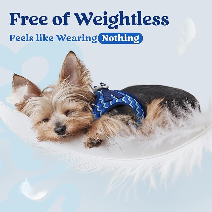 rabbitgoo Step-in Small Dog Harness, Puppy Vest for Small Sized Pet | Easy Put on and off, Lightweight, Soft, Breathable Quick-Dry Air Mesh for Comfortable Secure Walking, Blue Zigzag XS