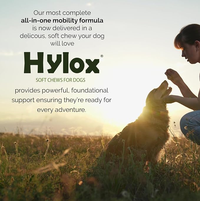 Hylox Soft Chews for Dogs – Joint Support with Glucosamine, MSM, Creatine, Hyaluronic Acid, Turmeric, EPA & DHA – Supports Joints & Cushions Connective Tissues – NASC Certified – 120 Soft Chews