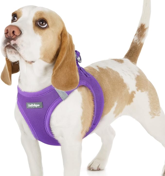 rabbitgoo Step-in Small Dog Harness, Puppy Vest for Small Sized Pet | Easy Put on and off, Lightweight, Soft, Breathable Quick-Dry Air Mesh for Comfortable Secure Walking, Purple M