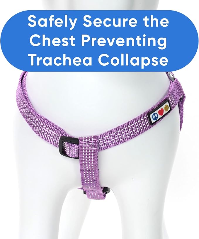 Pawtitas Reflective Step-in Dog Harness – Adjustable No-Pull Vest for Puppies to Seniors, Safe & Comfortable, L Orchid